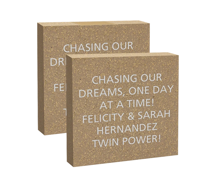[USSNTC 8X8 BRICK] 8x8 Brick (Paver)